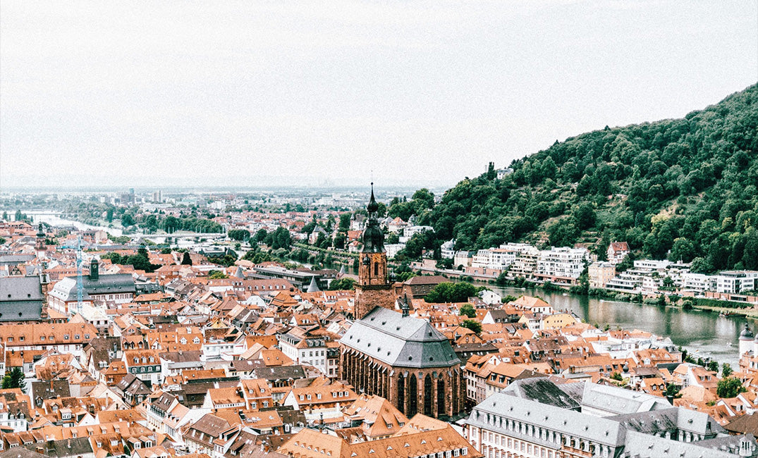 Alles was du wissen musst Banner